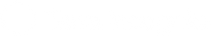 T-Incognita